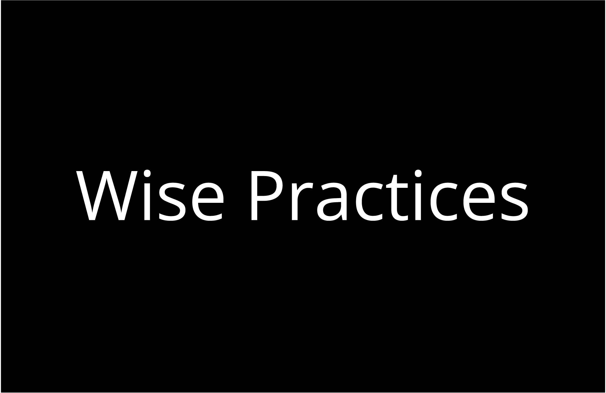 Wise Practices Logo