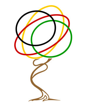 What is peer support?