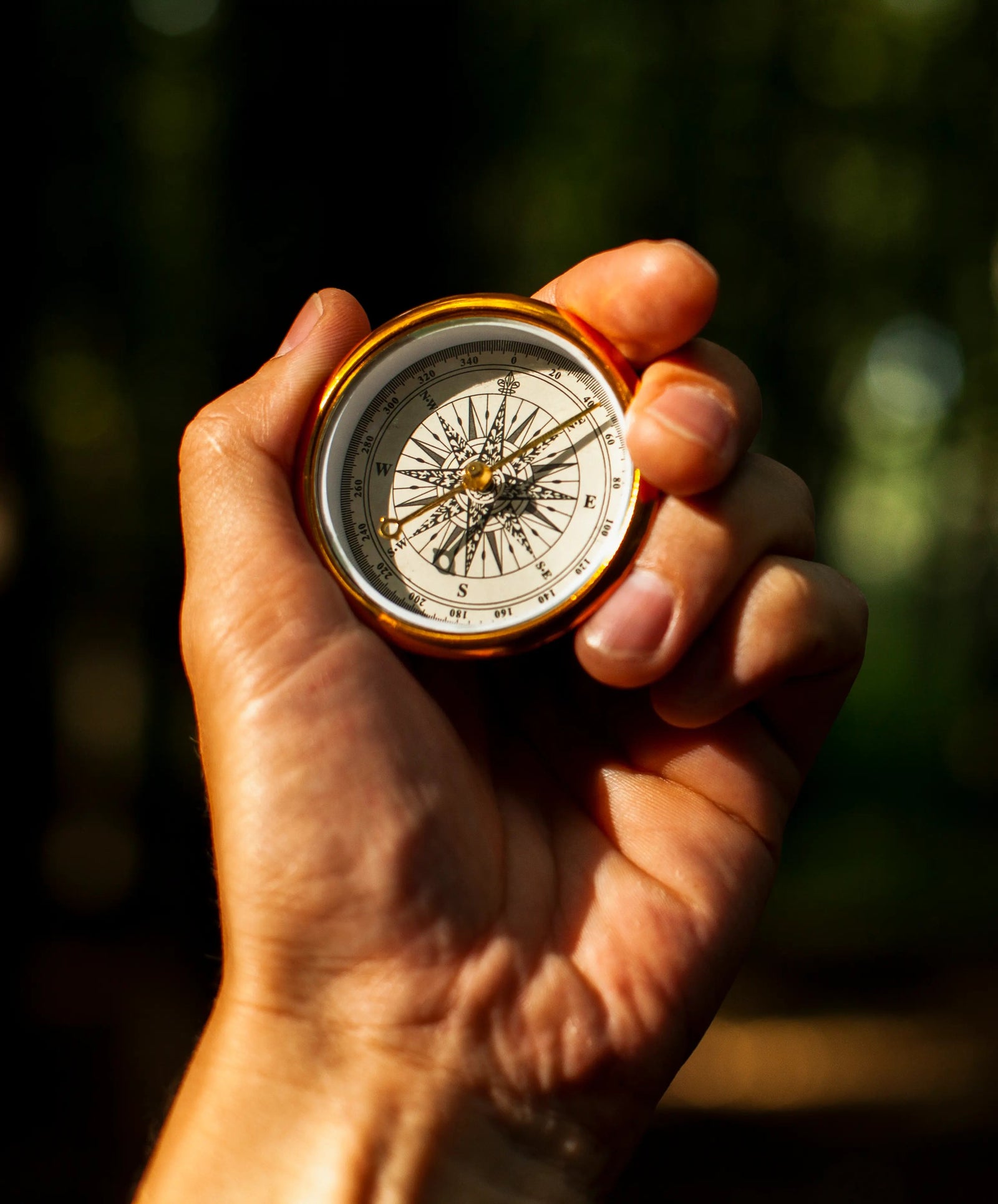 Guiding standards  of peer support